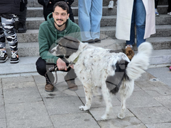 Гоце Делчев - протест срещу насилието над животни