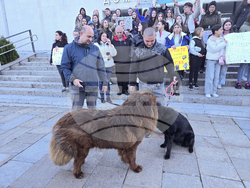 Гоце Делчев - протест срещу насилието над животни