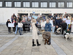 Гоце Делчев - протест срещу насилието над животни