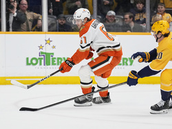 Ducks Predators Hockey
