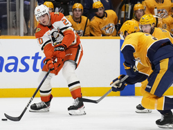Ducks Predators Hockey