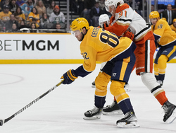 Ducks Predators Hockey