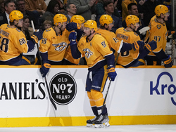 Ducks Predators Hockey