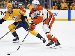 Ducks Predators Hockey