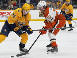 Ducks Predators Hockey