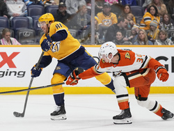 Ducks Predators Hockey