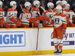 Ducks Predators Hockey