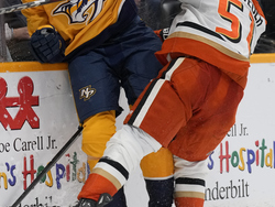 Ducks Predators Hockey