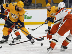 Ducks Predators Hockey