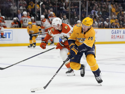Ducks Predators Hockey