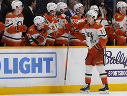 Ducks Predators Hockey