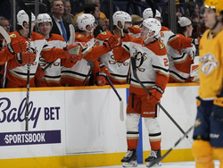 Ducks Predators Hockey