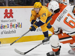 Ducks Predators Hockey