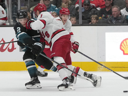 Hurricanes Sharks Hockey