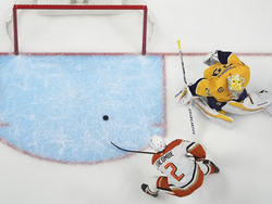 Ducks Predators Hockey