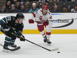 Hurricanes Sharks Hockey