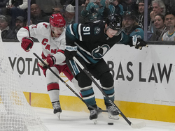 Hurricanes Sharks Hockey
