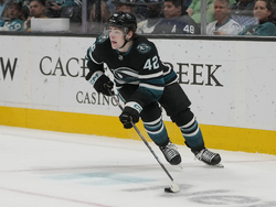 Hurricanes Sharks Hockey