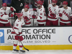 Hurricanes Sharks Hockey