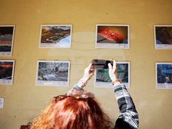 Българската асоциация по водите - дискусионен форум - фотоизложба