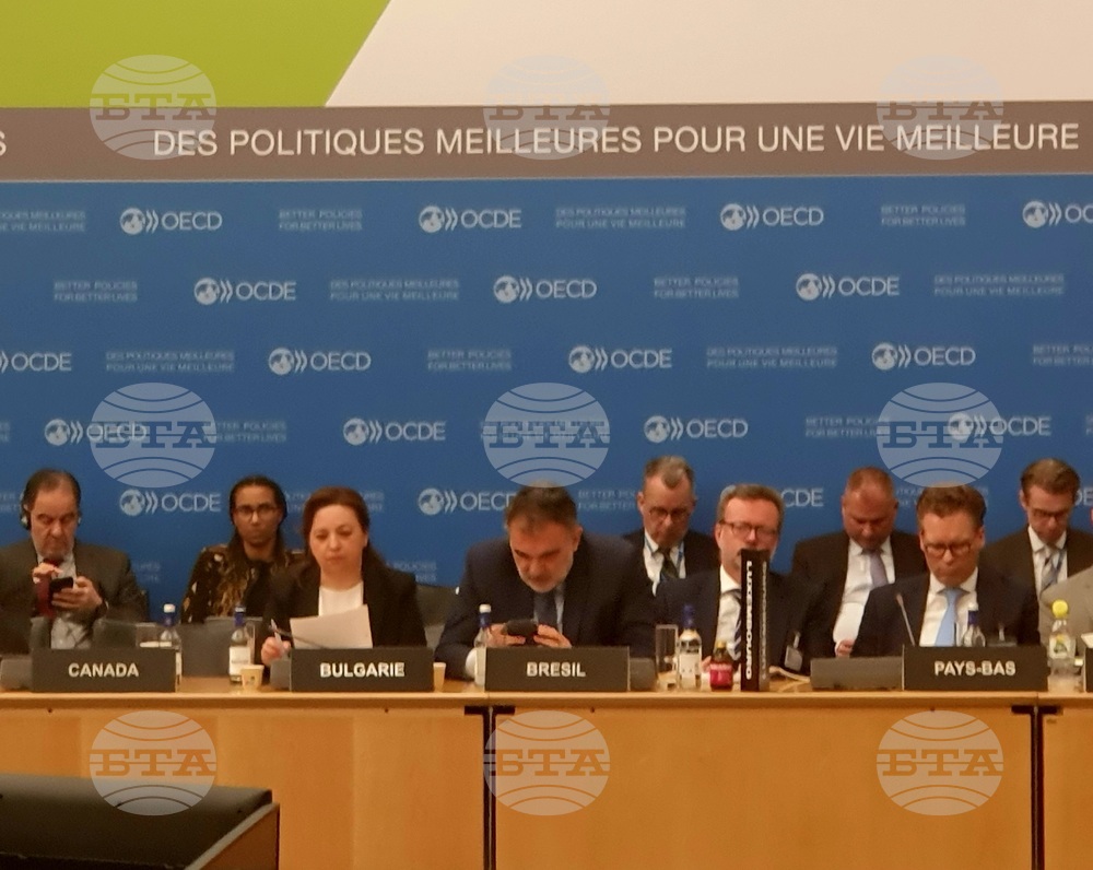 Deputy Foreign Minister Anguelieva Attends OECD Development Assistance Committee Summit
