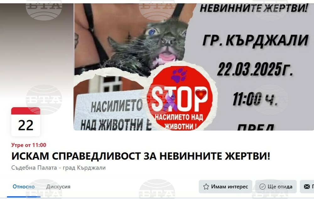 Кърджалийци се събират чрез социалните мрежи на протест срещу насилието над животни