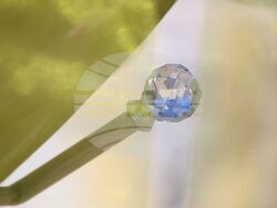 Бургас - Световен ден на кукления театър - инциатива