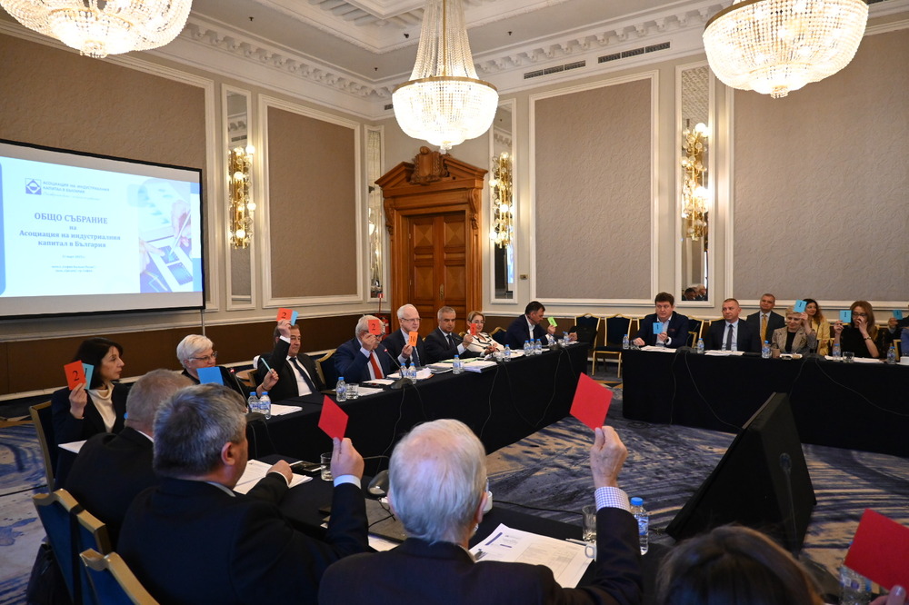 Former Energy Minister Rumen Radev Elected Chair of BICA Management Board