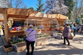 Кюстендил - празник - пролет - занаяти - цветя