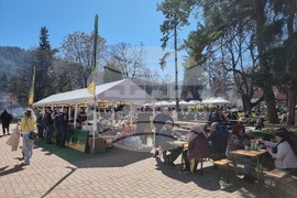 Кюстендил - празник - пролет - занаяти - цветя