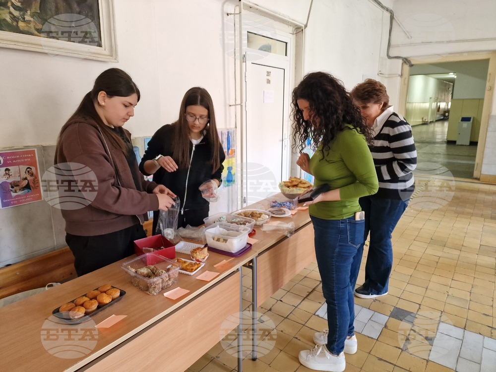 Разградско училище набира средства в подкрепа на кучетата от Общинския приют в града