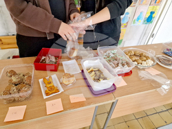 Разград - училище - пролетен базар