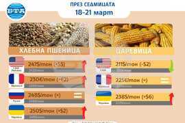 Цени на основни зърнени стоки по световните борси и на ССБ през седмицата 18 - 21 март