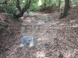 Снимка: Българска фондация Биоразнообразие