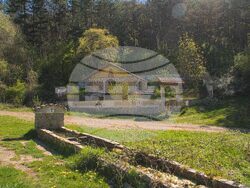 Снимка: Българска фондация Биоразнообразие