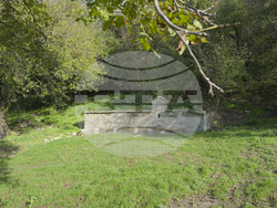 Снимка: Българска фондация Биоразнообразие