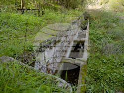 Снимка: Българска фондация Биоразнообразие