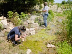 Снимка: Българска фондация Биоразнообразие