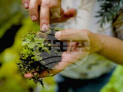 Снимка: Българска фондация Биоразнообразие