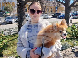 Шумен - протест срещу насилието над животни