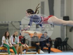 Благоевград - спортна гимнастика - първенство