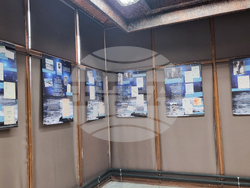 Добрич - изложба - Елисавета Багряна