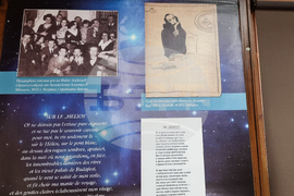 Добрич - изложба - Елисавета Багряна