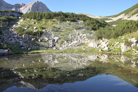 22 март - Световен ден на водата