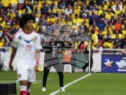 Ecuador Venezuela Wcup 2026 Soccer