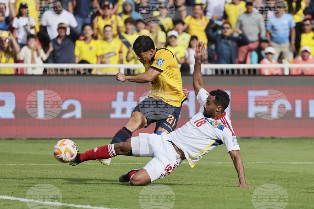 Ecuador Venezuela Wcup 2026 Soccer