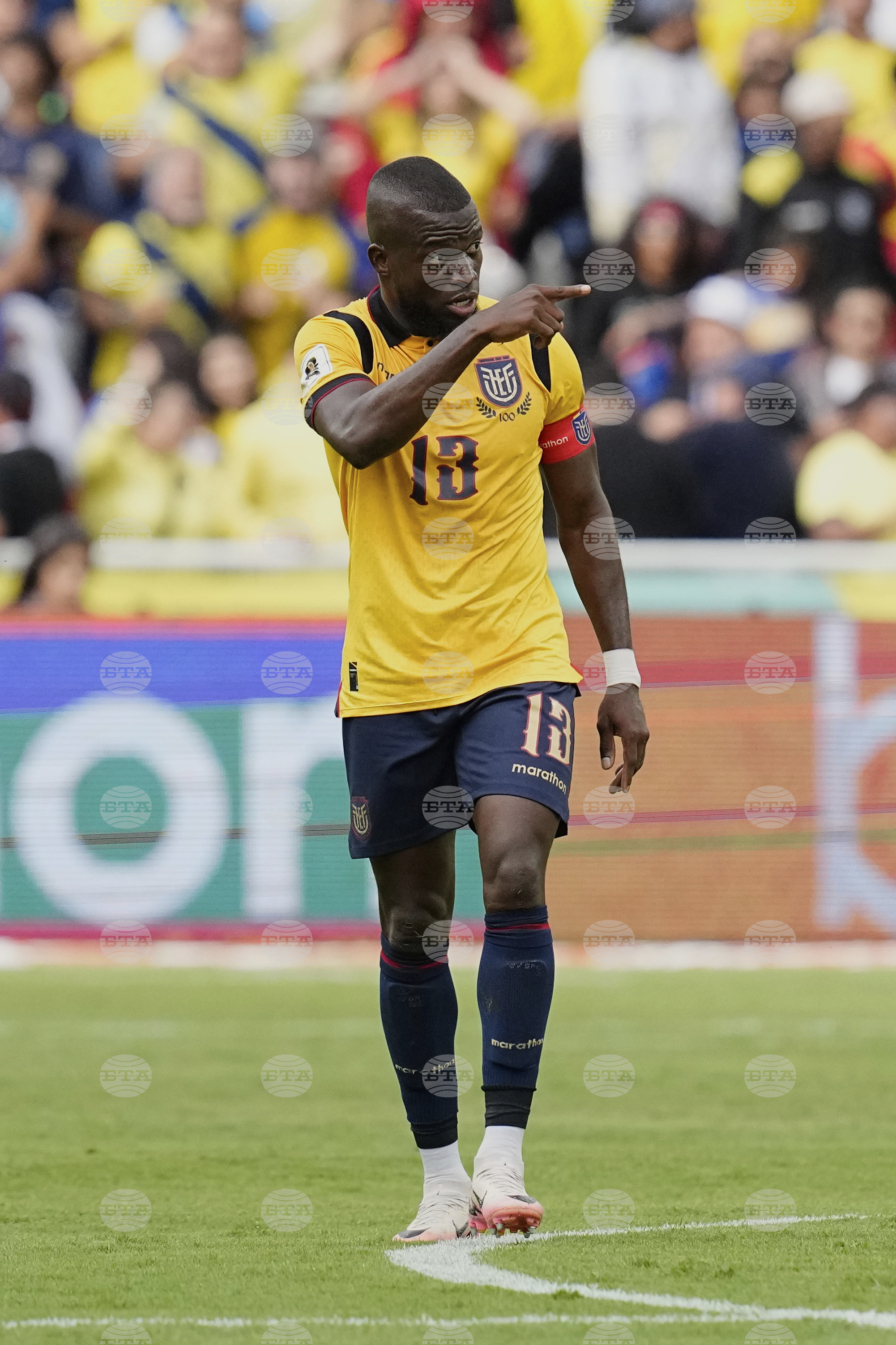Ecuador Venezuela Wcup 2026 Soccer