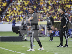 Ecuador Venezuela Wcup 2026 Soccer