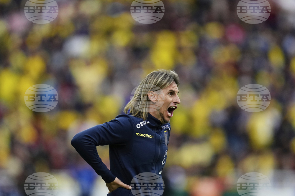 Ecuador Venezuela Wcup 2026 Soccer