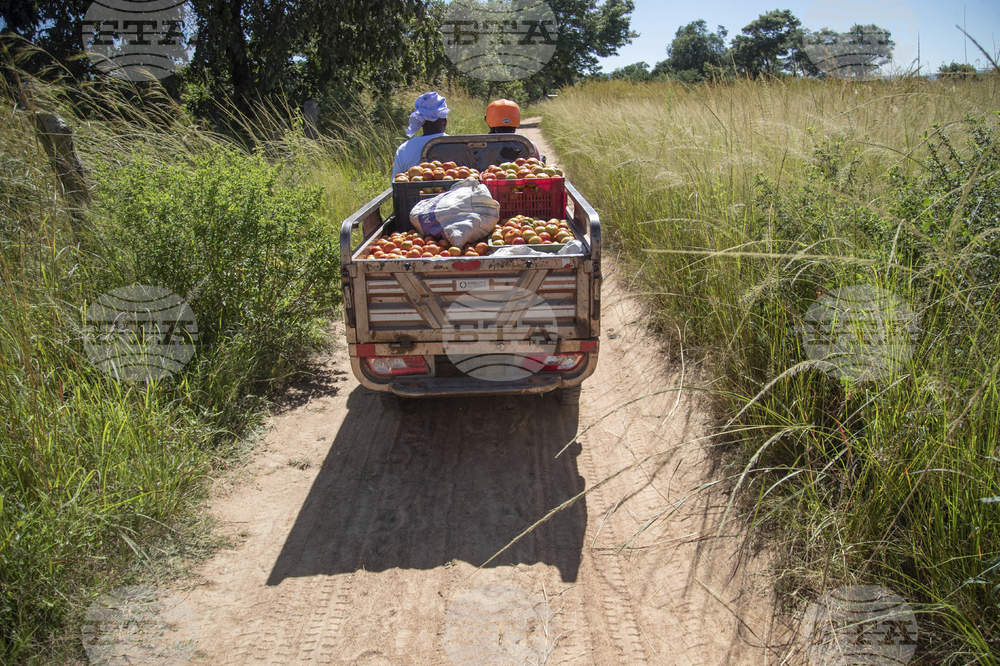 Zimbabwe Women Tricycles